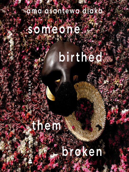 Title details for someone birthed them broken by Ama Asantewa Diaka - Available